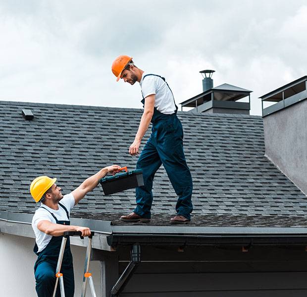 handyman-in-helmet-giving-toolbox-to-handsome-coll-2022-11-01-23-12-55-UDC9WLE