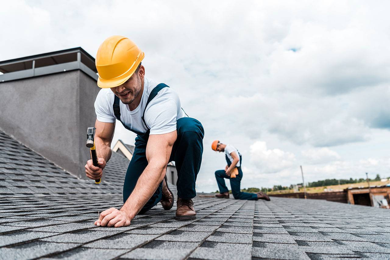 selective-focus-of-handyman-holding-hammer-while-r-2022-11-03-03-49-46-8KB24RL